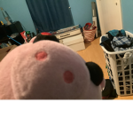 Dat piggy sqaud