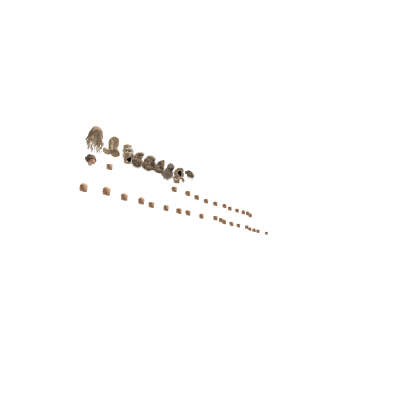 Haur