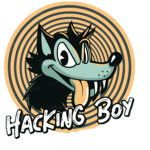 Hacking Boy