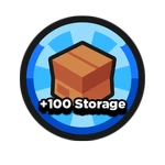 +100 Storage