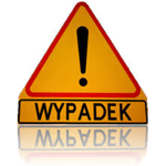 Biuro Detektywistyczne Koperek