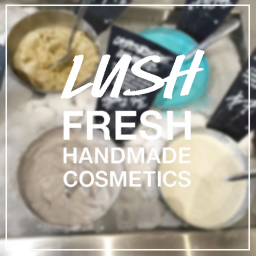 LUSH Cosmetics™ Homestore V1