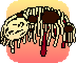Spaghetti's Official Fan Group!