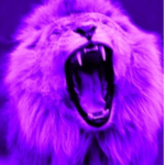 #team ez