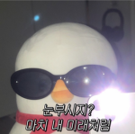 도비_그룹