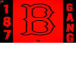 G.I.C BI00ds