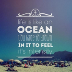 Ocean_Dynamitex
