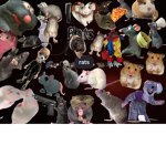 Team rats!