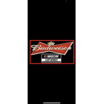 Nascar Bud series
