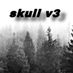 skull v3