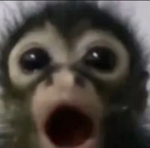 Jskakakw