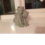 Glitter kitten believers