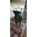 Los tilines 3000