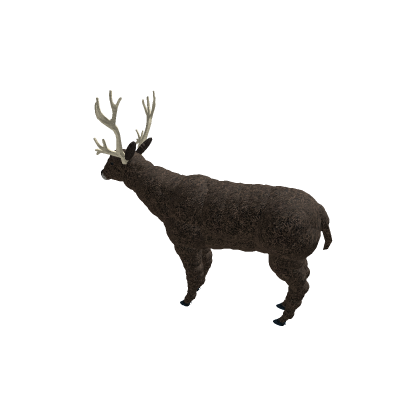 Buck