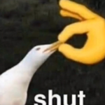 Official Anime and Meme Club!