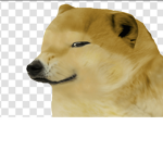 Derpy doggos
