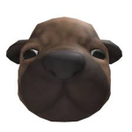 Pibble Club