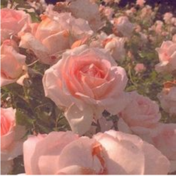 🎀ྀིྀི