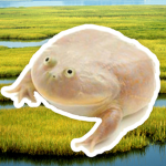 its wednesday my dudes!!!!!!!!!