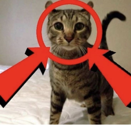 ༺ ♰ ༻