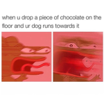 Roblox Memes that are not roblox memes