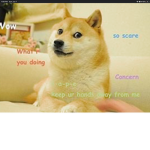 Dogboy Gamers :)