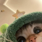Victoriamix