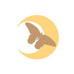Star&Moon | Support
