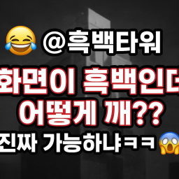 흑백타워