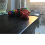 Rainbow slug
