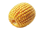 Corn.Ball