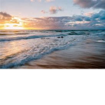 wavyocean..