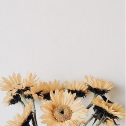 ♡︎♥︎