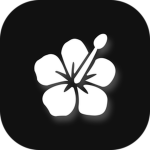 Hibiscus Development