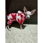 EPIC CHIHUAHUAS