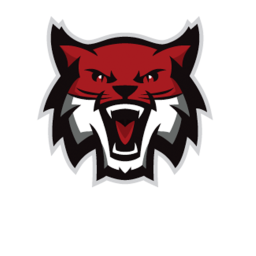 Hellcats Stadium icon