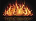 The Thrilling Torch