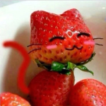 strawberry-land
