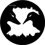 LomoCraft Inc