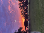 Buddyjade13