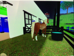 Field-View-Acres Lesson and Barrel barn