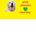 gang ########