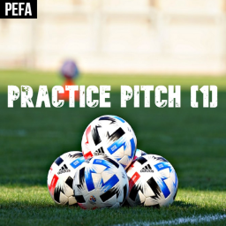 [PEFA] Test Pitch