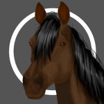 Hoof beat studio