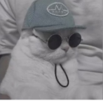 CAT'S.