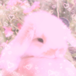 -ˏˋ ʚ trendy apparel ɞ ˊˎ-