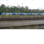 Szczeciniani8