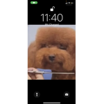Kilbaby7