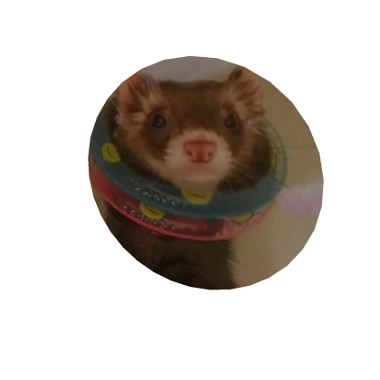 Ferret PFP