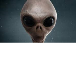 Fkfjjfkfkfkfkfkfkfkk